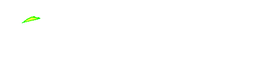 KODALTOTO